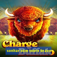 sonhar com touro bravo